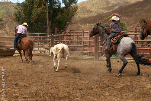 Ranch Cowboy Horse Riding & Livestock