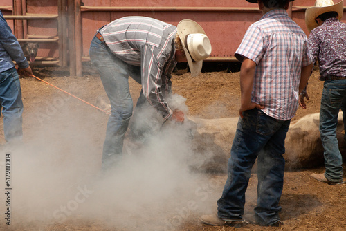 Ranch Cowboy Horse Riding & Livestock