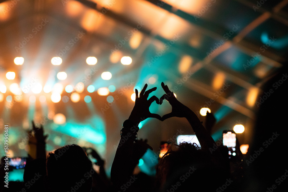 crowd at concert - summer music festival