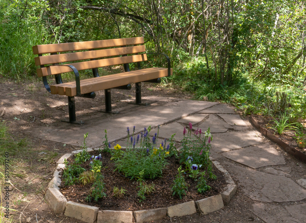 Bench Shaded from Trees with Little Round Garden in Foreground Bench Shaded from Trees with Little Round Garden in Foreground