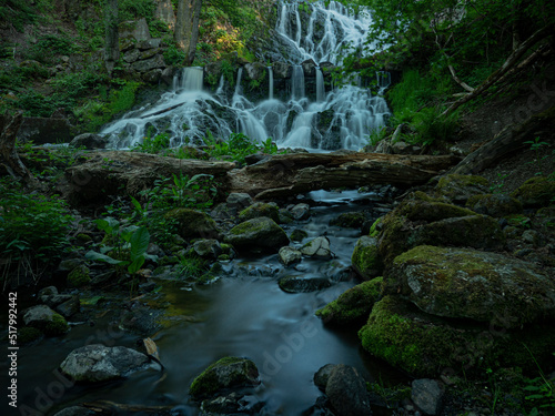 waterfall in the forest
