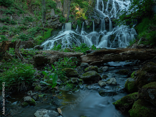 forest waterfall 