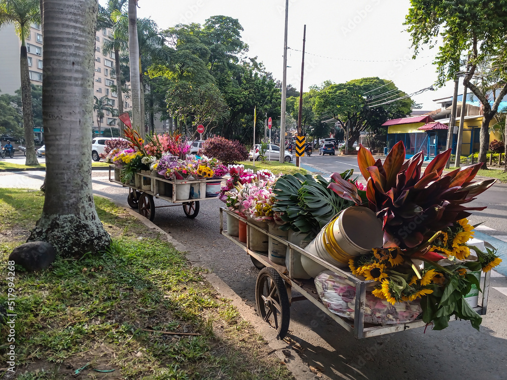 Street sell of beautiful tropical flowers