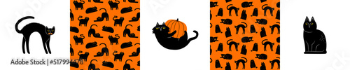 Photography Set of halloween black cat animal cartoon seamless pattern