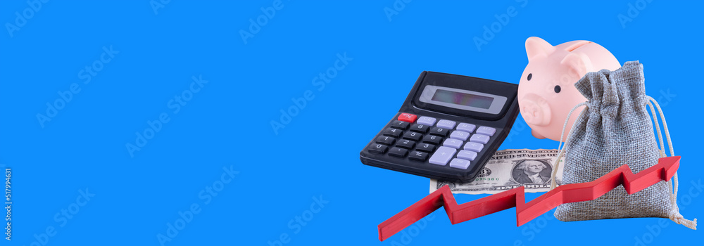 Pink piggy bank, dollar, calculator and a bag against blue background  Savings and loan crisis Saving money is the key to financial independence  Stock Photo | Adobe Stock