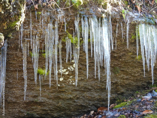 Icicles in a park in Knoxville, Tennessee photo