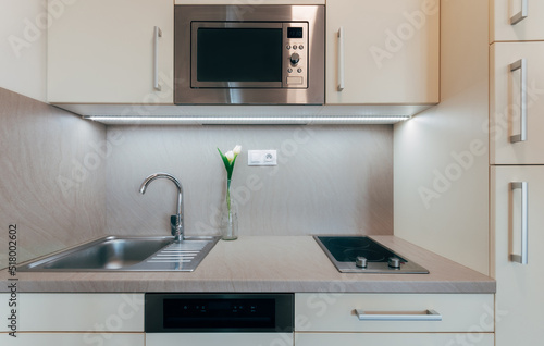 Small compact kitchen unit in modern style with several cabinets and drawers with handles. Kitchen includes built-in appliances. The line is diversified by a simple vase with several flowers.