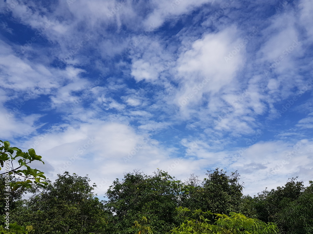 Obraz premium sky and clouds