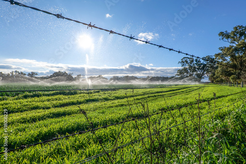 Farm stock