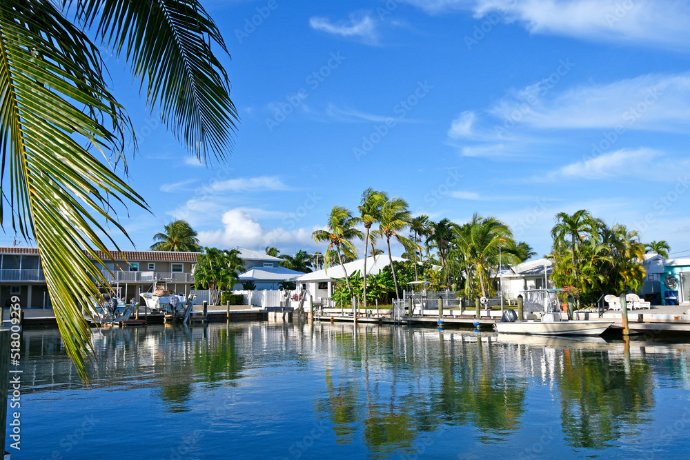 Waterfront view with palm trees along a canal at Marathon Key in the Florida Keys