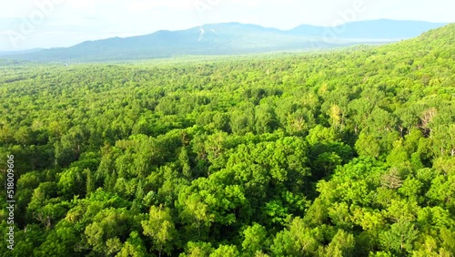 Hills at sunrise from a bird's-eye view. Dense forests of mixed tree species. Taken by a drone in the Khekhtsir Nature Reserve in the Far East of Russia in the Khabarovsk Territory. photo