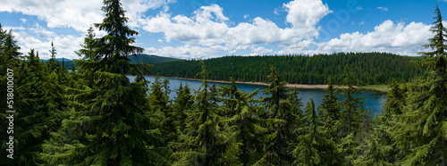 Thick forest surrounds Clear Lake, not far from Mount Hood, Oregon. The Pacific Northwest is known for its lush forest resources. photo