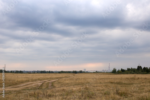 Panoramic view on sunflower field with sky