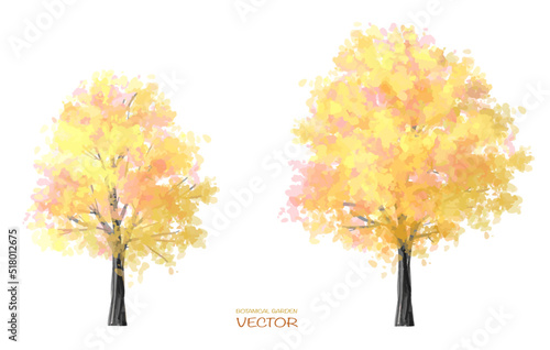 Vector of watercolor autumn blooming tree side view isolated on white background for landscape and architecture drawing, elements for environment or and garden,botanical elements for section 