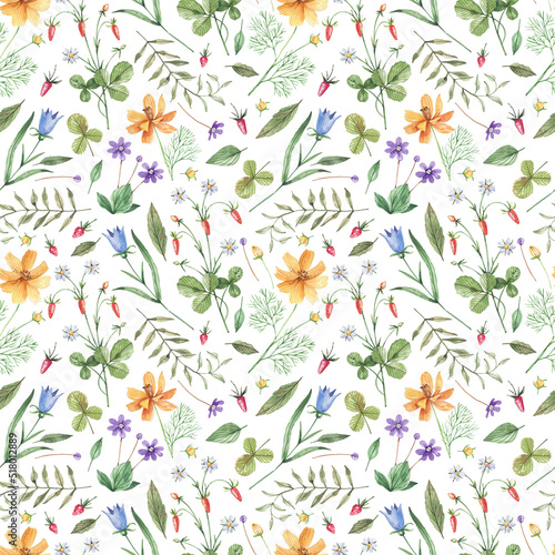 Watercolor, seamless pattern with delicate, wildflowers and herbs. Romantic, floral background. Floral background in retro style with wild plants.