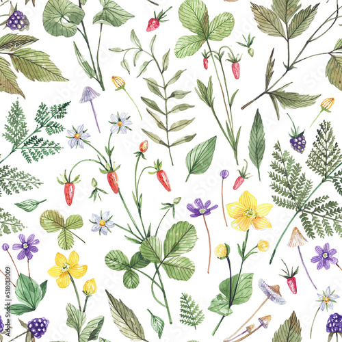 Watercolor botanical pattern with wild forest flowers, berries and herbs. Strawberries, buttercups, ferns gentle floral background, botanical texture for textiles, fabrics, wrapping paper.