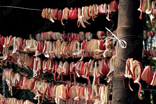 Radish pieces left to dry in the sun. These pieces are then mixed with various ingredients to make homemade pickles popular in China