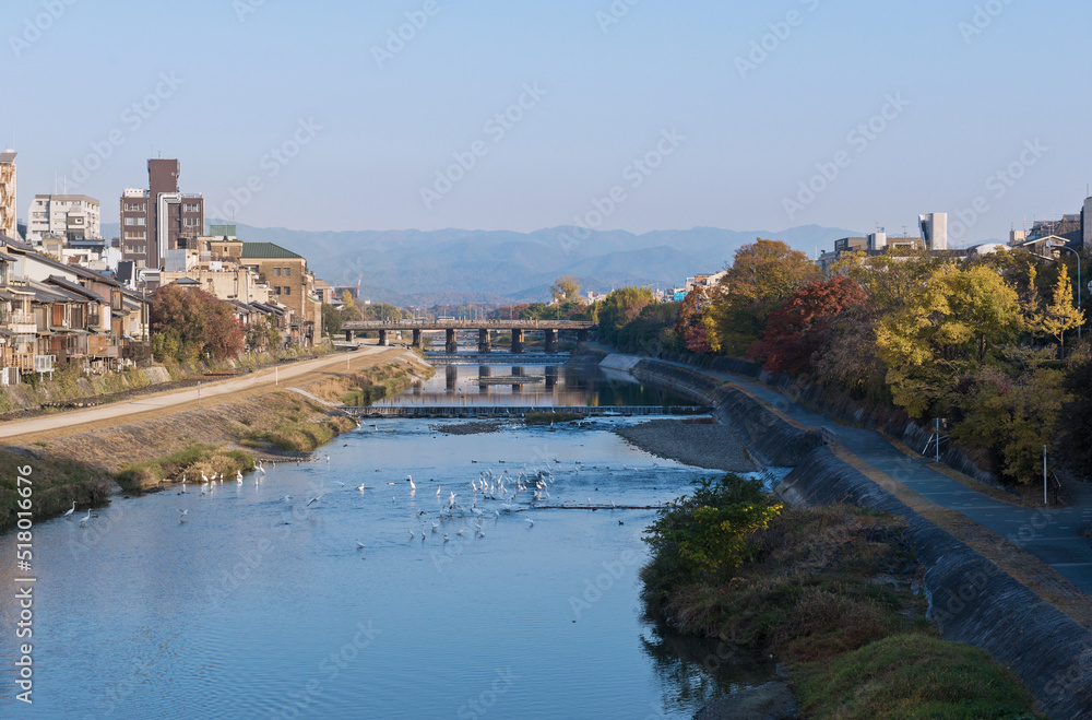 鴨川の景色