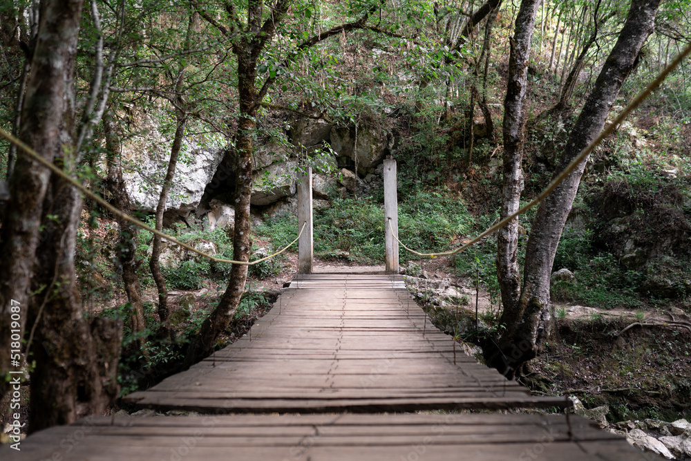 Empty wooden bridge crossing a river in a forest