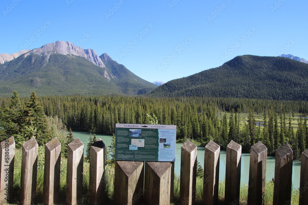Mountain Beauty, Banff National Park, Alberta