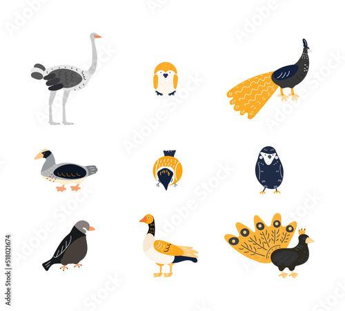 set of cartoon birds vector illustration