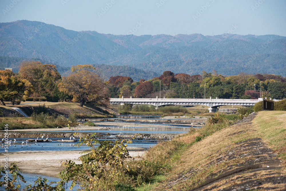 鴨川の景色 鴨川の景色