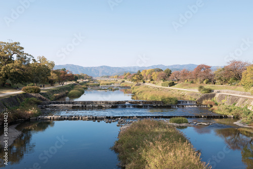 賀茂川の景色