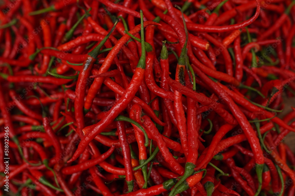 Fototapeta premium Red Chili or Cabe Kriting Background Selective Focus