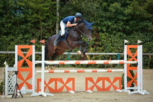 Show jumping, rider with horse over the jump, horizontal format colored..