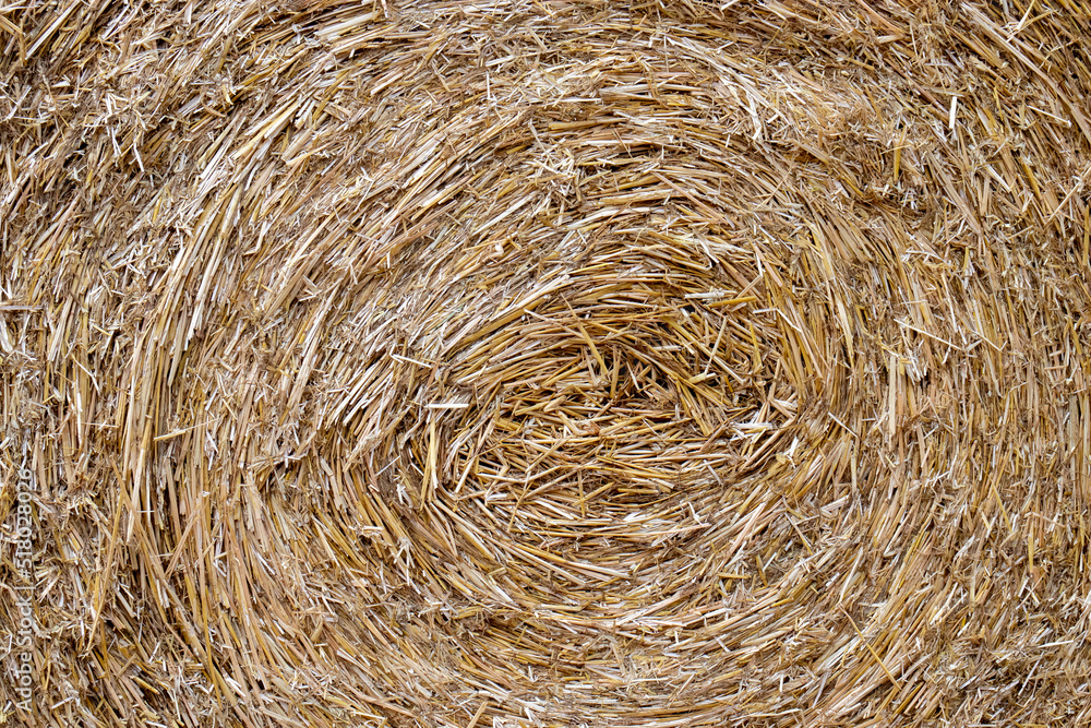 Close up of straw bale texture. Natural wheat straw bale background Close up of straw bale texture. Natural wheat straw bale background