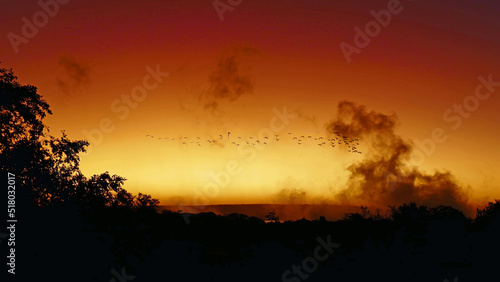 Sunrise at Victoria Falls with birds