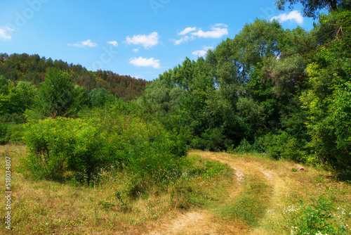 ground road in a wild forest, beautiful summer landscape, bright sunlight, trees and hill