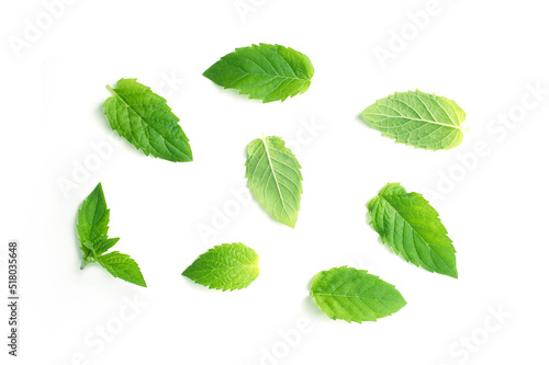 Leaf of mint peppermint isolated on white background. Green menthol herb. Fresh plant herbal for aroma
