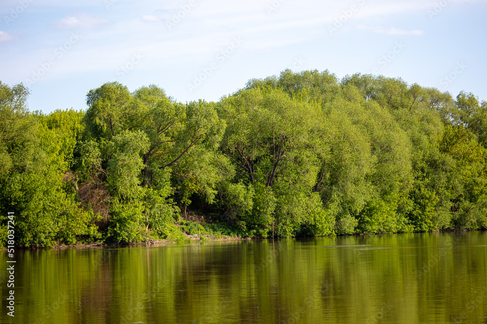 Green trees on the banks of the river. Green trees on the banks of the river.