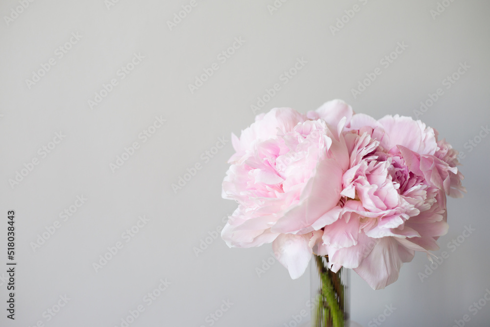 Bouquet of peonies in the vase Bouquet of peonies in the vase