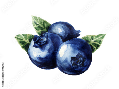 Three juicy blueberries on a white background, watercolor illustration.