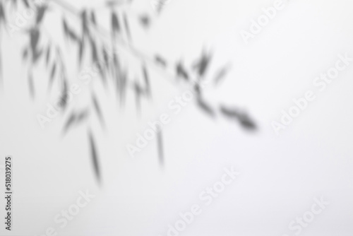 Blurred defocused overlay effect for for natural light photo effects. Gray shadows of flowers on a white wall. Abstract neutral nature concept background for poster design presentation. Space for text