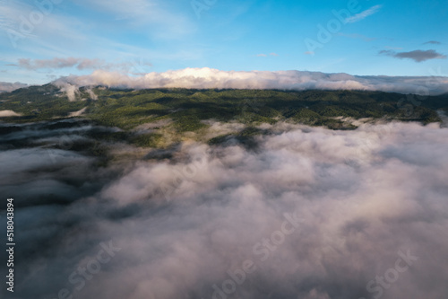 fog and clouds in the morning in the forest © artrachen