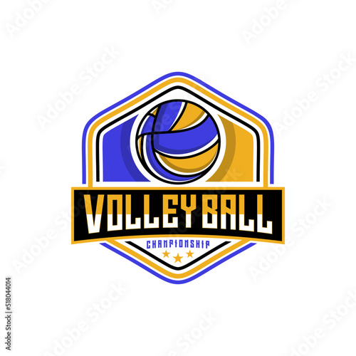 Volleyball logo vector design template