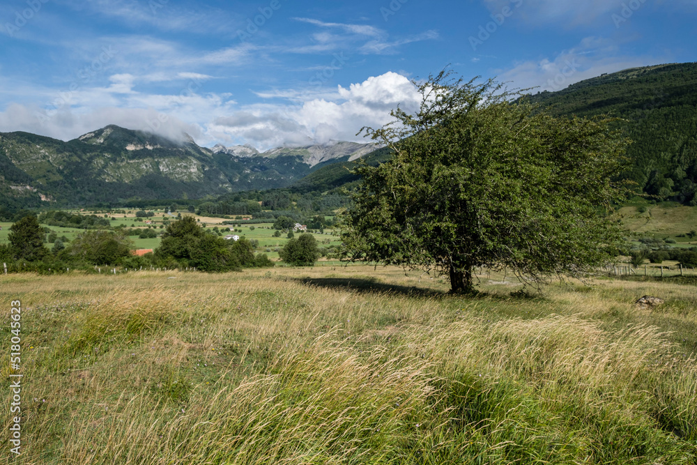 valle de Belagua, Isaba, Navarra, Spain, Europe
