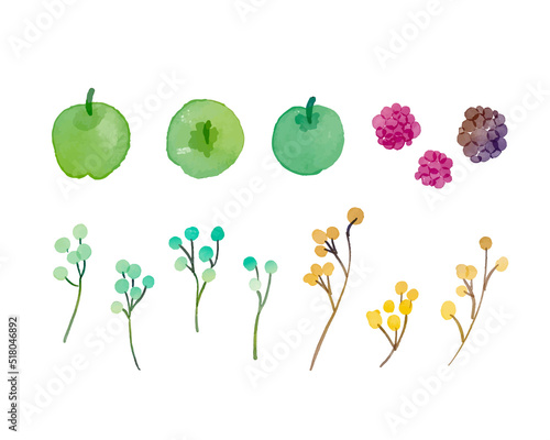 水彩画。水彩タッチの赤い木の実ベクターイラスト。秋の木の実ベクターイラスト。Watercolor painting. Red tree nuts vector illustration with watercolor touch. Autumn nuts vector illustration.