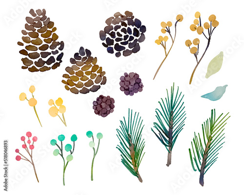 水彩画。水彩タッチの木の実と松ぼっくりのベクターイラスト。秋の木の実ベクターイラスト。Watercolor painting. Vector illustration of nuts and pine cones with watercolor touch. Autumn nuts vector illustration.