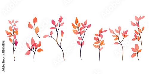 水彩画。水彩タッチの紅葉樹ベクターイラストセット。秋の枯葉のベクター挿絵。リアルタッチの秋の植物イラスト。Watercolor. Set of vector illustration of autumn leaves tree vector illustration with watercolor touch. Autumn dead leaves vector illustration. Aut