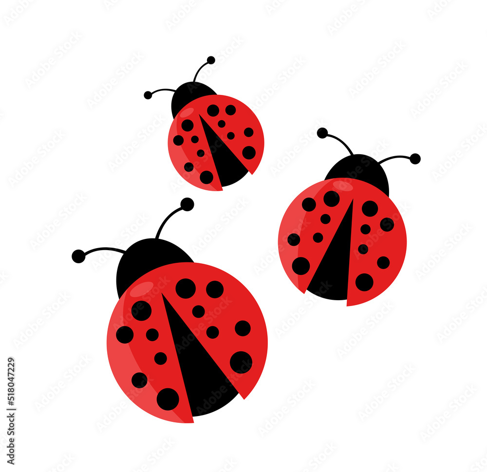 Fototapeta premium Ladybug vector illustration