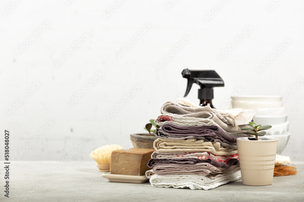 Obraz premium Zero waste home kitchen cleaning concept, blank space for a text