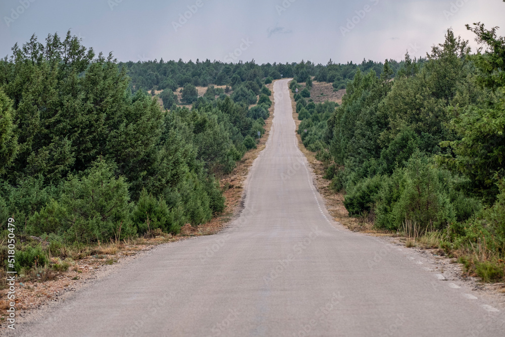 Sierra Solorio, Soria,  comunidad autónoma de Castilla y León, Spain, Europe