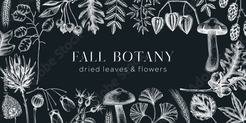 Autumn background with fall leaves and dried flowers. Thanksgiving frame design. Fall backdrop on chalkboard. Sketched dried herbs, falling leaves, mushrooms, seeds. Black and white illustration.