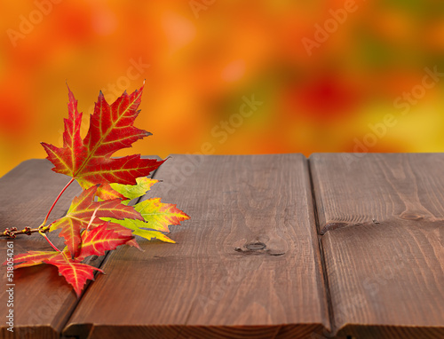 Red maple leaves on a wooden surface. Bright autumn background.