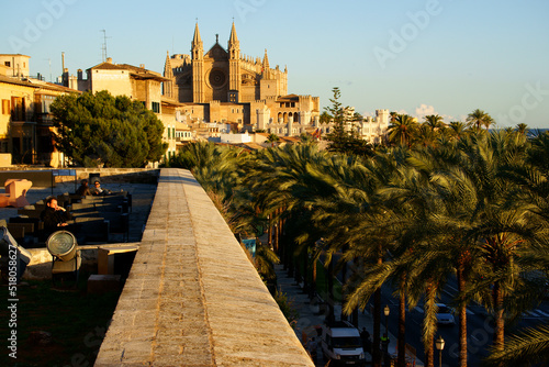 Catedral de Mallorca desde la terraza d' es Baluard (Museu d'art modern i contemporani de Palma).Palma.Mallorca.Islas baleares.España. photo