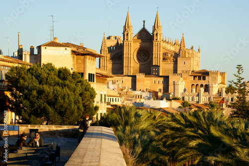 Catedral de Mallorca desde la terraza d' es Baluard (Museu d'art modern i contemporani de Palma).Palma.Mallorca.Islas baleares.España. photo